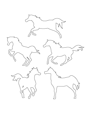 Arabian Horse Patterns