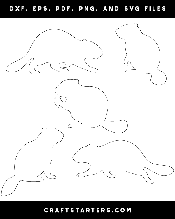 Beaver Patterns