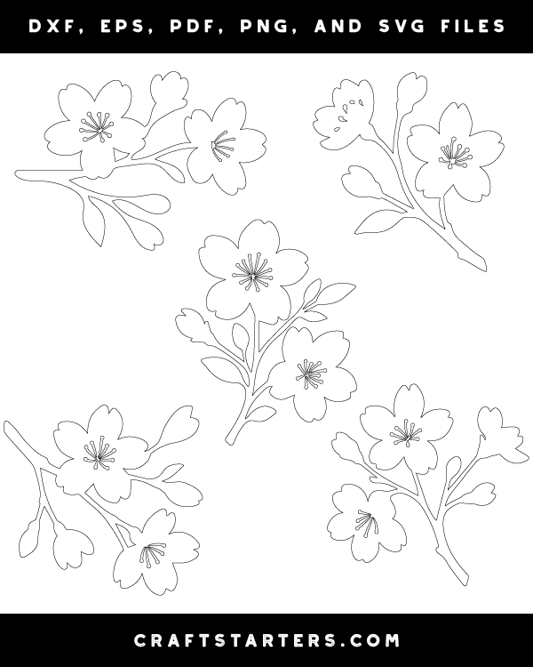 Cherry Blossoms Patterns