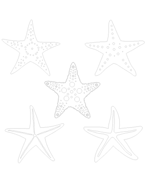 Detailed Starfish Patterns
