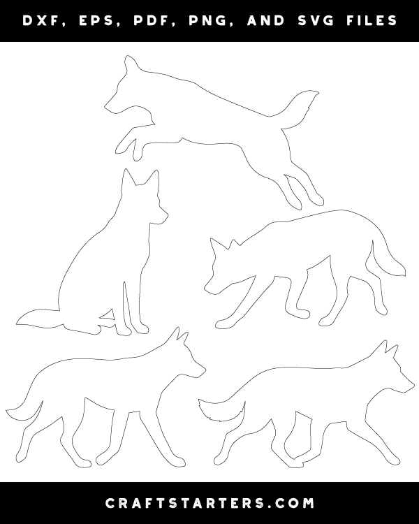 Dingo Patterns