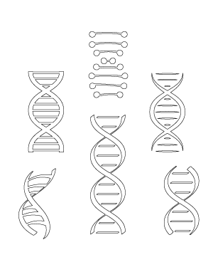 DNA Patterns