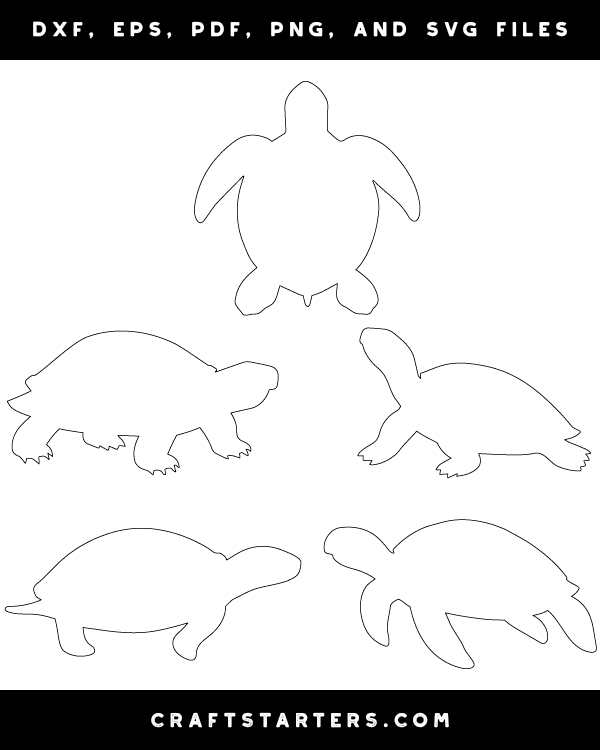 Turtle Patterns