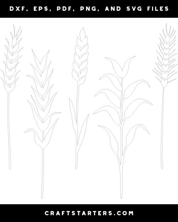 Wheat Stalk Patterns
