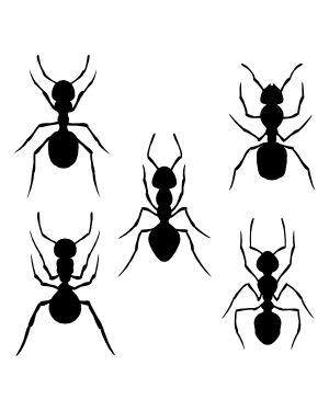 Ant Top View Silhouette Clip Art
