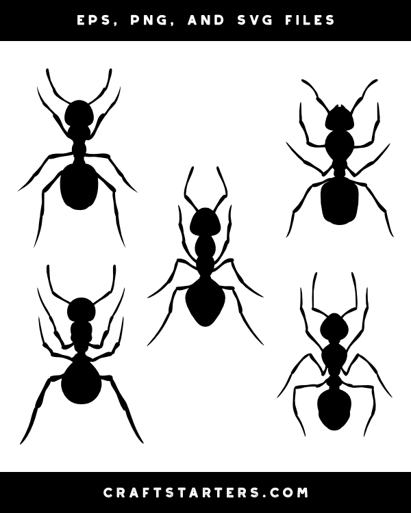 Ant Top View Silhouette Clip Art