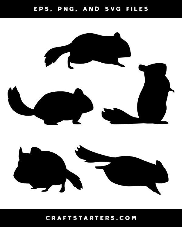 Chinchilla Silhouette Clip Art