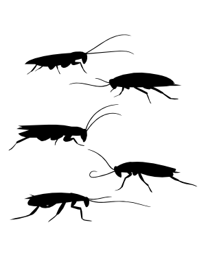 Cockroach Side View Silhouette Clip Art