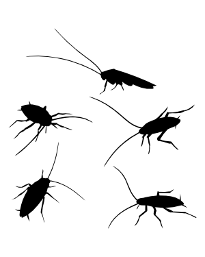 Cockroach Silhouette Clip Art