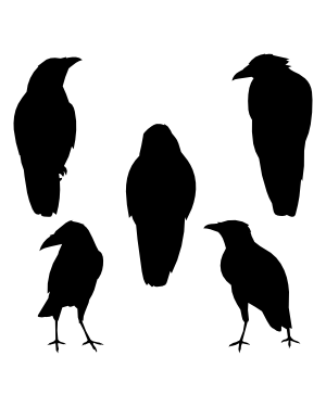 Crow Front View Silhouette Clip Art