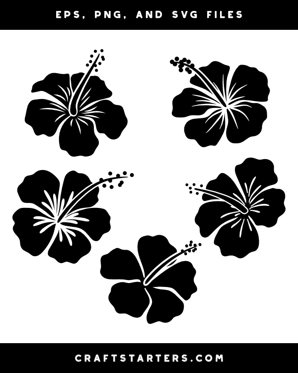 Detailed Hibiscus Silhouette Clip Art