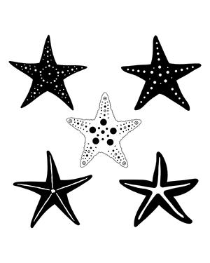 Detailed Starfish Silhouette Clip Art