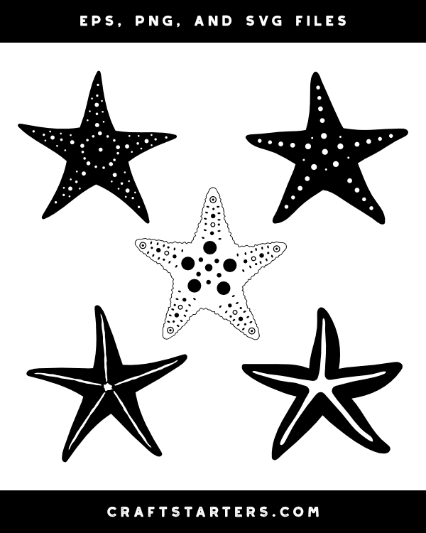 Detailed Starfish Silhouette Clip Art