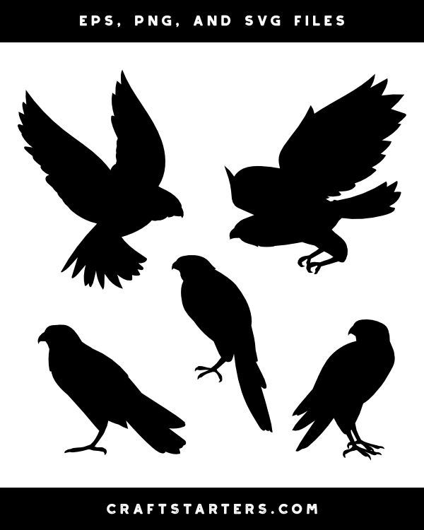 Falcon Silhouette Clip Art