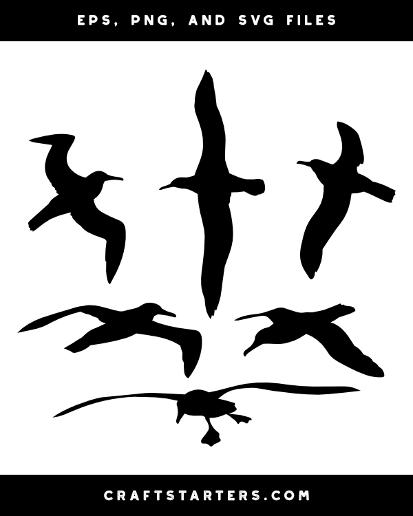 Flying Albatross Silhouette Clip Art