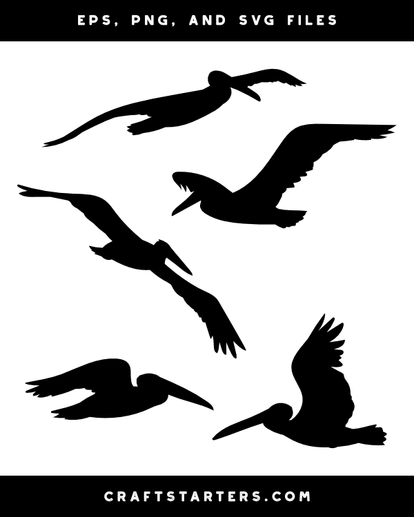 Flying Pelican Silhouette Clip Art