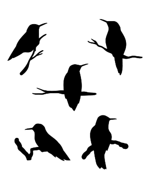 Hummingbird And Branch Silhouette Clip Art