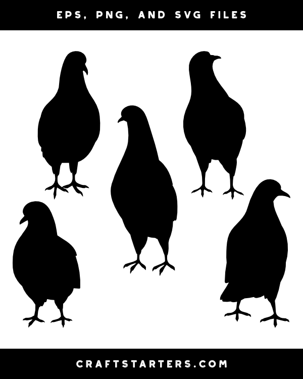 Pigeon Front View Silhouette Clip Art