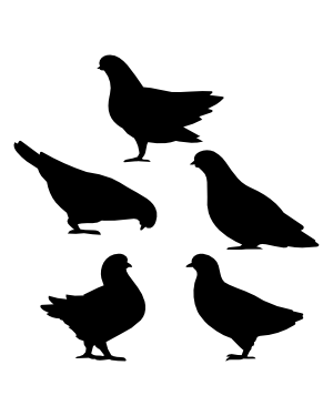 Pigeon Side View Silhouette Clip Art