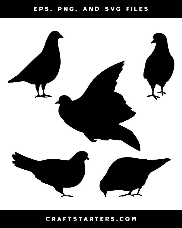 Pigeon Silhouette Clip Art