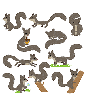 Realistic Squirrel Digital Stamps