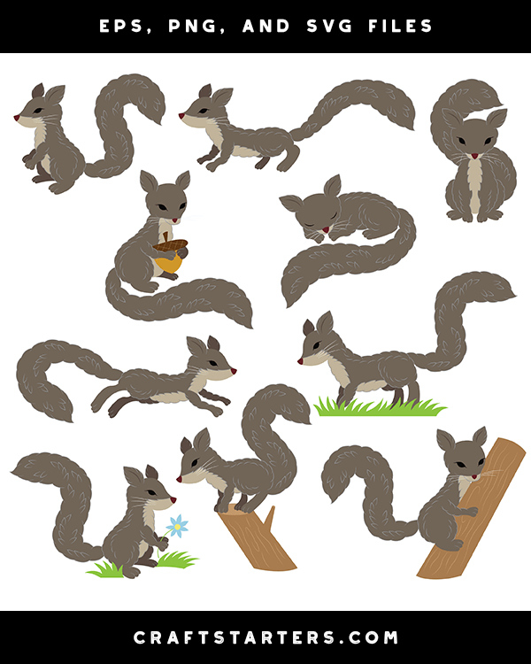 Realistic Squirrel Clip Art