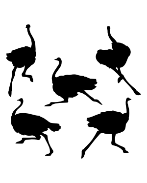 Running Ostrich Silhouette Clip Art