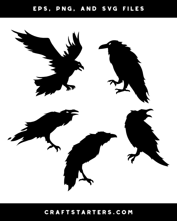 creepy raven