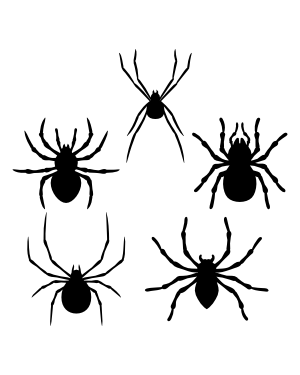Spider Top View Silhouette Clip Art