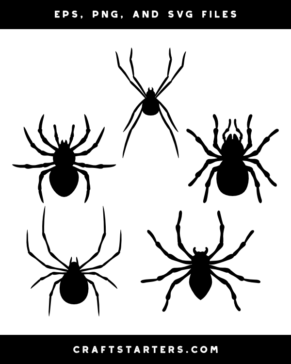 spider black and white clip art