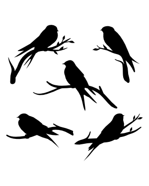 Swallow on Branch Silhouette Clip Art