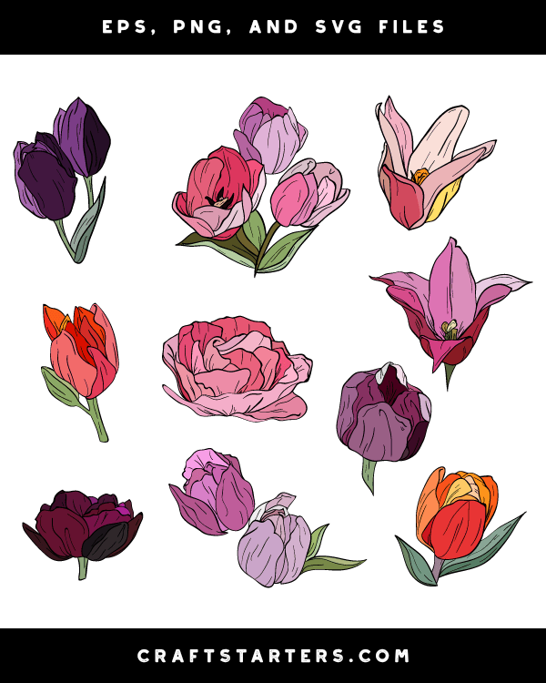 Tulip Doodle Clip Art
