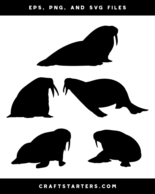 Walrus Silhouette Clip Art