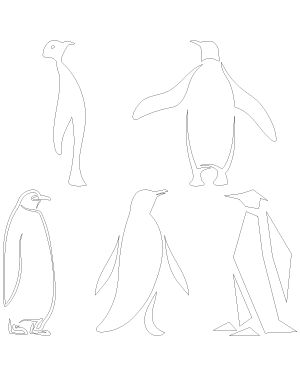 Abstract Penguin Patterns