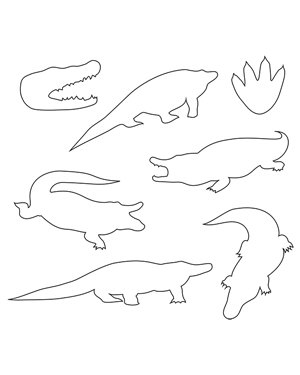 Alligator Patterns