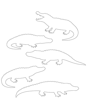 Alligator Side View Patterns