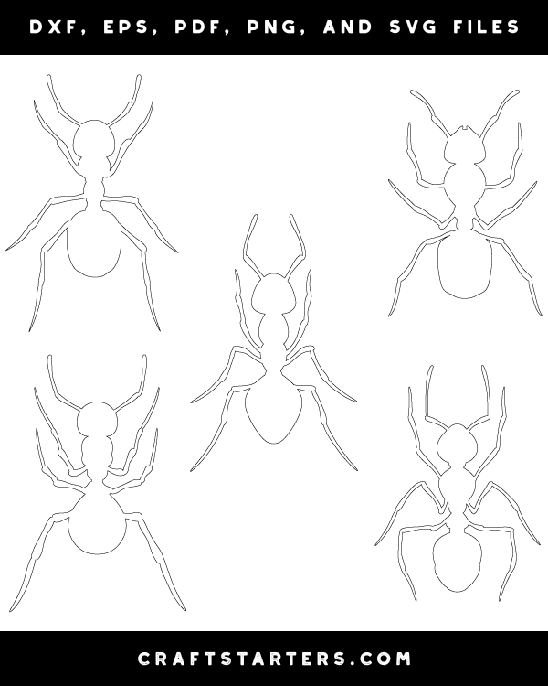 Ant Top View Patterns