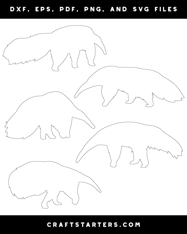 Anteater Patterns