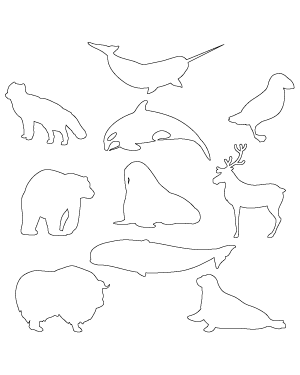 Arctic Animal Patterns
