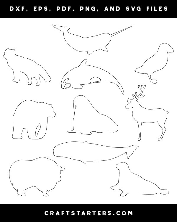 Arctic Animal Patterns