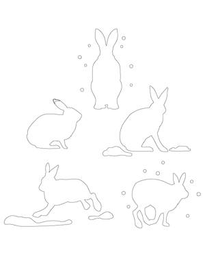 Arctic Hare Patterns