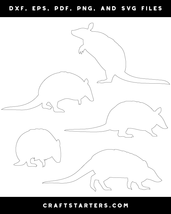 Armadillo Side View Patterns