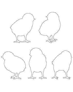 Baby Chick Patterns