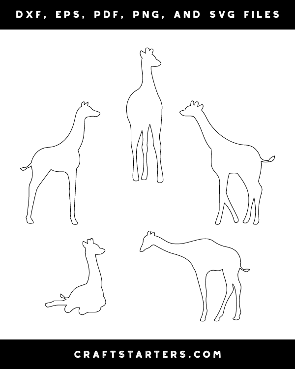 Baby Giraffe Patterns