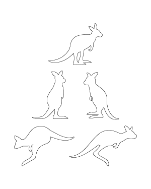 Baby Kangaroo Patterns