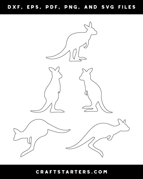 Baby Kangaroo Patterns