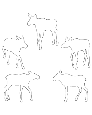 Baby Moose Patterns