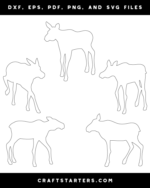 Baby Moose Patterns