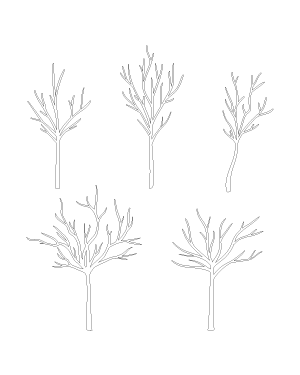 Bare Tree Patterns