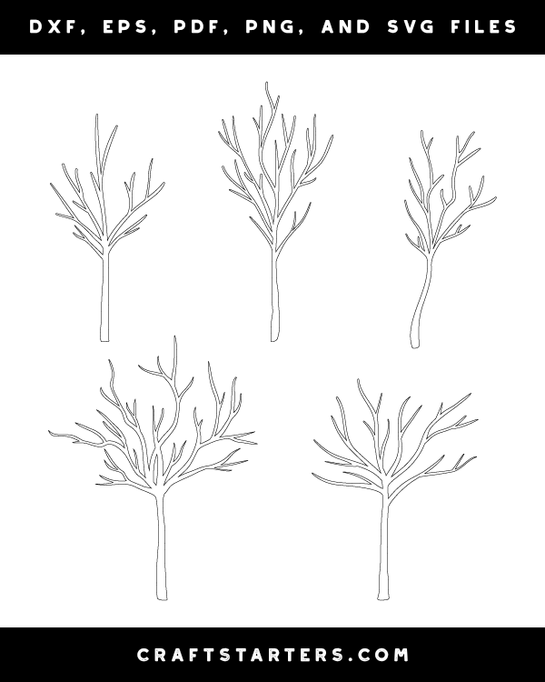 Bare Tree Patterns